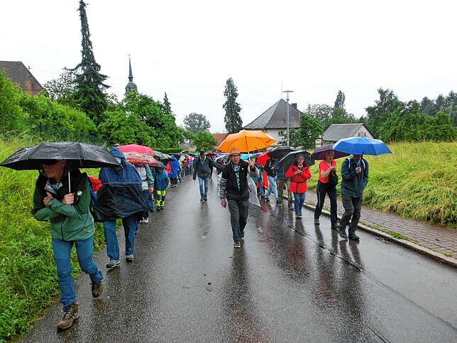 Die Wallfahrt von Hornussen nach Todtmoos legen die Pilger in Zweierreihen zurück, an der Spitze geht der Pilgerleiter, zwischen den ...