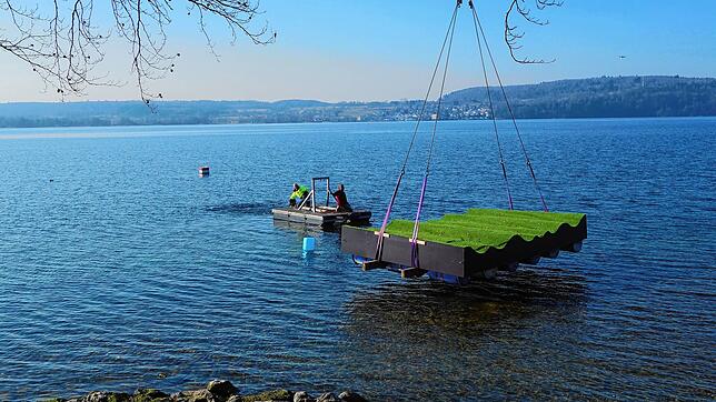 Langsam und sehr vorsichtig wurde das zwei Tonnen schwere Element von einem Kran auf der Wasseroberfläche abgesetzt.