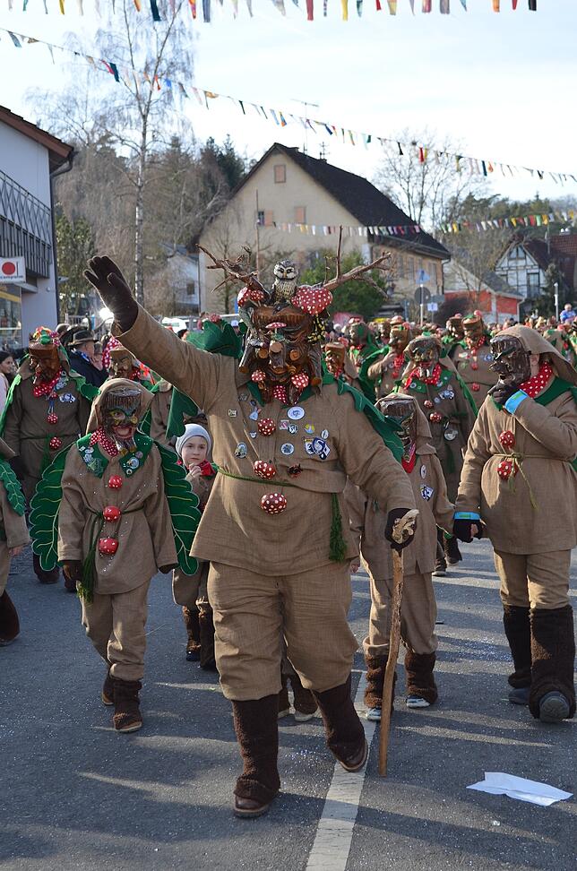 Bild 28: Eigeltinger Narrentage: Der Sonntagsumzug in Bildern (1)