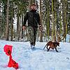 Samuel Dold, mit seinem bayrischen Gebirgsschweißhund Wasco, entdeckt auf seinen Reviergängen im Wald regelmäßig Hundekotbeutel, die ...