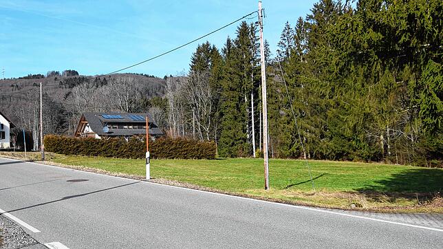 Auf diesem freien Grundstück im Rickenbacher Ortsteil Hottingen sollen nach dem Willen des Eigentümers drei Mehrfamilienhäuser mit bis ...