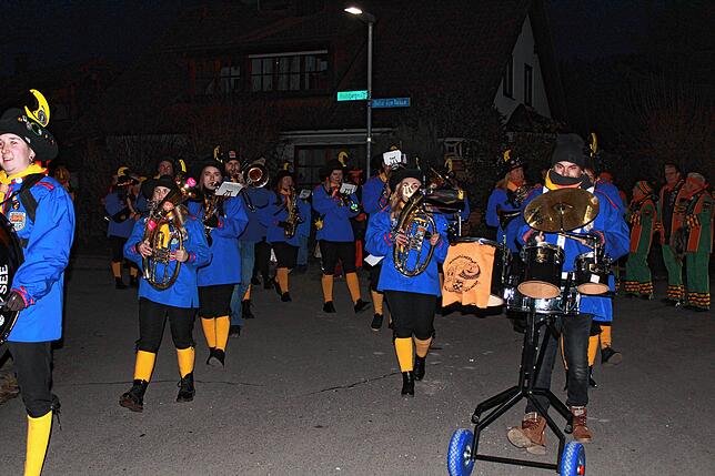 Bild 27: Bilder vom Narrentreffen in Nenzingen (Teil 2)
