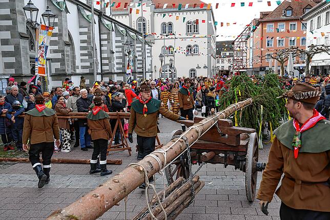 Bild 1: Bilder vom Narrenbaumstellen der Narrizella Ratoldi auf dem Marktplatz