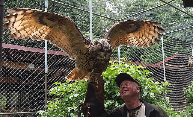 Wildgehege in Waldshut: Wie stattlich und schön Uhus sind, zeigt sich besonders, wenn sie ihre Flügel spreizen.