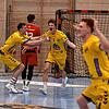 Jubel bei der HSG nach dem Triumph gegen Lübeck-Schwartau. In der Mitte ist Siegtorschütze Aron Czakó zu sehen, links Lars Michelberger, ...