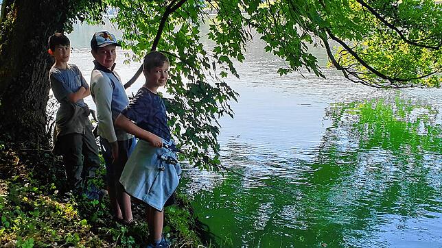 Der Angelsportverein Lauchringen veranstaltet regelmäßig Jugendlager am Rhein. Die gefangenen Fische werden dann auch kulinarisch ...