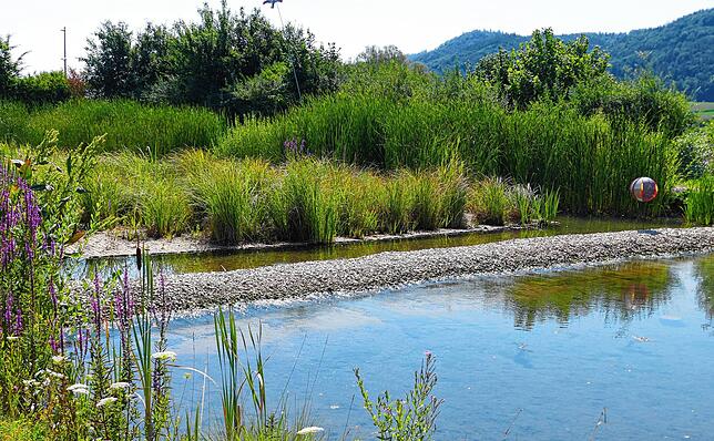Im Aufbereitungsbereich wird das Wasser auf natürliche Weise gereinigt.