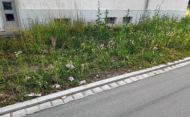 Am Straßenrand liegt noch immer Müll.