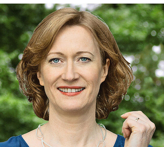 Kerstin Andreae (Die Grünen)