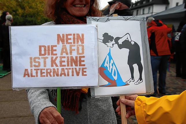 Bild 20: AfD-Chef in Villingen: Bündnis protestiert gegen AfD-Veranstaltung