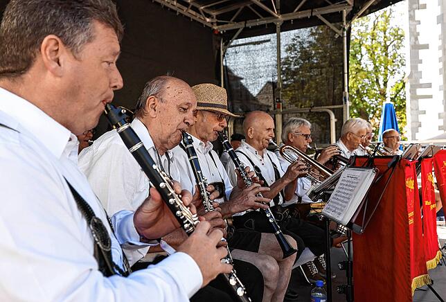 Bild 20: So schön war das Altstadtfest in Radolfzell: Wir haben die Bilder!