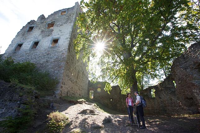 An der Ruine Alt Bodman wird einer der Selfie Points installiert, von denen sich die Gemeinde Bodman-Ludwigshafen einen weiteren ...