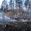 Rund 2000 Quadratmeter Fläche waren laut Einschätzung der Feuerwehr von dem Brand betroffen.