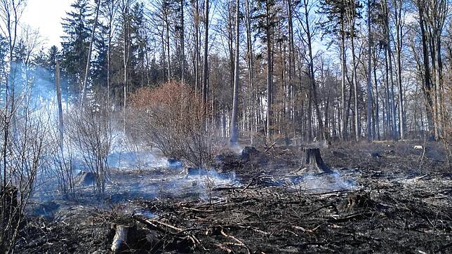 Rund 2000 Quadratmeter Fläche waren laut Einschätzung der Feuerwehr von dem Brand betroffen.