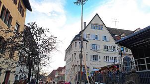 Die Welschinger Holzer stellten am Samstag in Engen den Narrenbaum zum 150. Jubiläum der Zunft.