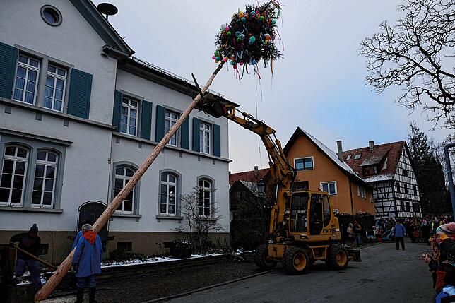 Bild 28: Bilder vom Zunftmeisterempfang und vom Narrenbaumstellen in Kippenhausen