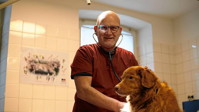 Michael Zeller kann aktuell keine neuen Kunden in seiner Tierarztpraxis in St. Georgen aufnehmen. Vielen seiner Kollegen, sagt er, gehe ...