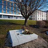 Gedenkstein für die 1940/41 ermordeten behinderten Patienten des Landeskrankenhauses Sigmaringen.