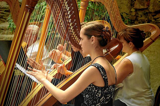 Die Harfe ist zwar ein großes Instrument – wird aber dennoch fast ausschließlich von Frauen gespielt.
