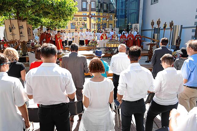Bild 15: Die Bilder zur Hausherrenprozession in Radolfzell