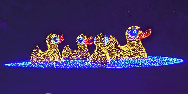 Bild 8: Lichter tanzen auf der Mainau: So haben Sie die Blumeninsel im Bodensee noch nie gesehen