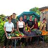 Die Mitglieder der Hegau Solawi freuen sich mit der grünen Landtagsabgeordneten Dorothea Wehinger (links) über eine reiche Ernte (von ...
