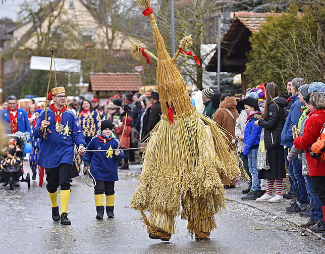 Bild 23: Bilder des großen Umzugs bei den Hattinger Narrentagen
