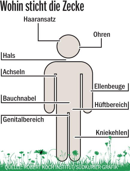 An diesen Stellen stechen Zecken besondern häufig.