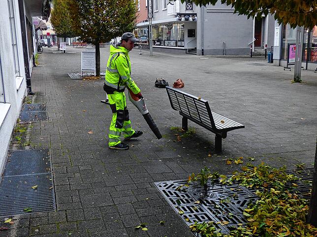 Der Einsatz eines Laubbläsers erfolgt vor allem im öffentlichen Bereich mit seinen großen Flächen.