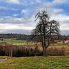 Der nordwestlichste Zipfel der Gemeinde Öhningen, auf dem möglicherweise Windräder errichtet werden könnten. Durch die Fläche im ...