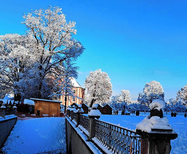 Bild 33: Was für ein Wintereinbruch am Bodensee: Die schönsten Schnee-Bilder vom Wochenende