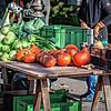 Frisches Gemüse aus der Region zeichnet den Tuttlinger Wochenmarkt aus. In diesem Jahr findet er noch fünf Male statt.
