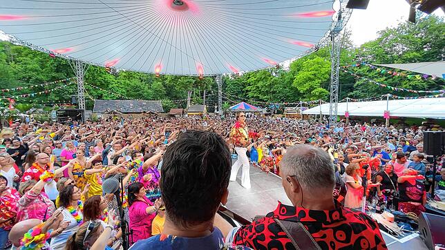 So sieht es aus, wenn die Zuschauer beim Stockacher Stadtfest voll mitgehen. In diesem Jahr kehrt eine Kult-Band auf die Bühne zurück. ...