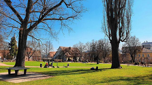 Der Mauthepark Ende März 2022: Dicht belagerte Sitzbänke und eine Schlafstätte unter einem Baum.