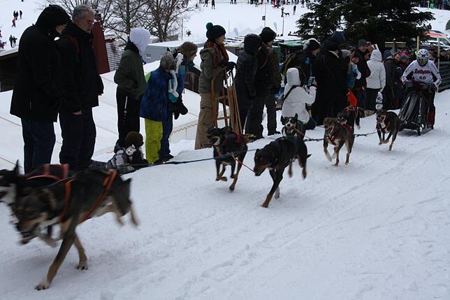 Bild 39: Das Internationale Schlittenhunderennen in Todtmoos 2019 in Bildern