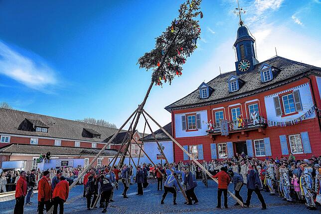 Das große Narren-Landschaftstreffen zum 100-jährigen Jubiläum beginnt mit dem Narrenbaumstellen auf dem Rathausplatz. Die Narren ...