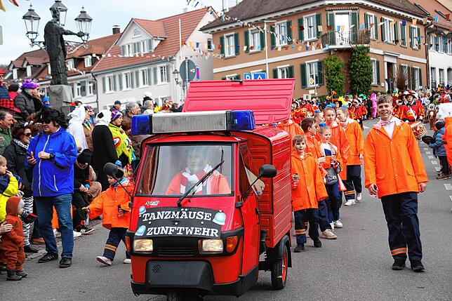 Bild 47: Bilder vom Fasnetssunntig-Umzug in Markdorf (Teil 1)