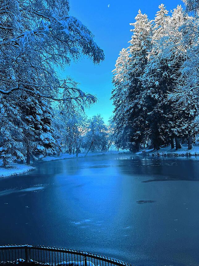 Wie in einem schönen Wintertraum liegt der Teich dunkel und still unter den verschneiten Bäumen am Doniswald in Königsfeld &ndash; ...