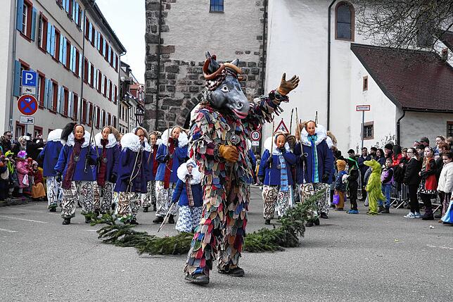 Bild 14: So schön war es am Dienstag beim großen Umzug in Villingen (Teil 2)