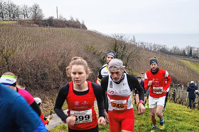 Bild 23: Bilder vom Crosslauf Hegau-Bodensee in den Reben oberhalb der Haltnau