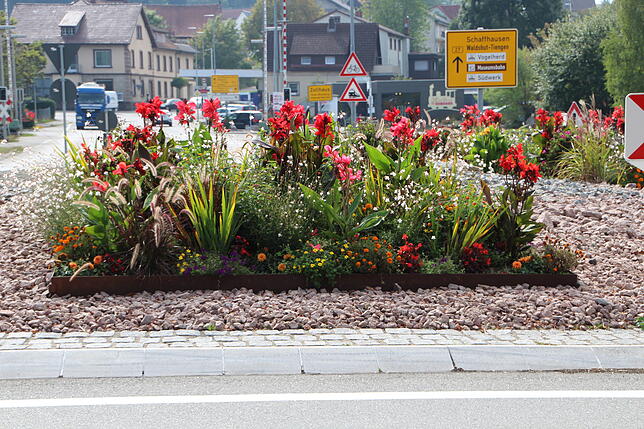 Lass Blumen sprechen: So schön bepflanzt zeigt sich der Blumberger Kreisel in diesen Tagen. Bilder: Bernhard Lutz, Holger Niederberger