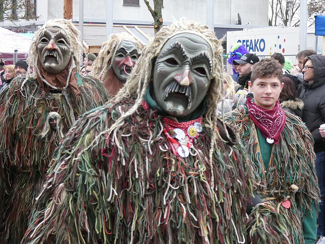 Bild 8: Bilder vom Narrentreffen in Albbruck