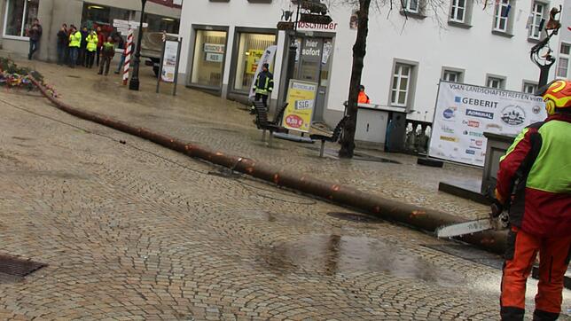 Nur 48 Stunden, nachdem er von der Narrenzunft Narrizella Ratoldi aus Radolfzell aufgestellt worden war, liegt der Narrenbaum schon ...