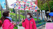 Der Regenschirm war noch ein wichtiger Begleiter am ersten Wochenende bei der Landesgartenschau in Überlingen.