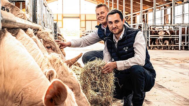 Der neue Tierwohlstall auf dem Leimgrabenhof bietet Platz für 420 Rinder. Jörg Fehrenbacher (vorne) und Ingo Fricker kümmern sich neben ...