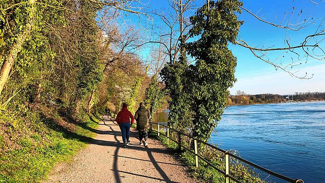 Vorbildlich: Am Sonntag sah man etliche Spaziergänger am Rheinufer in Waldshut, die jedoch maximal in Zweiergruppen, wie diese beiden ...