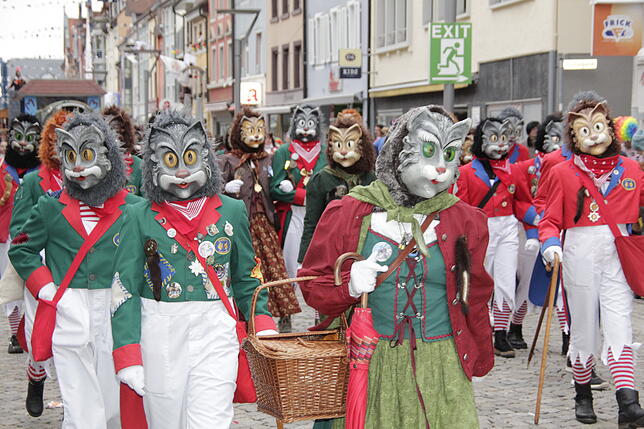 Bild 17: Bilder vom Umzug der Katzenmusik am Montagmorgen
