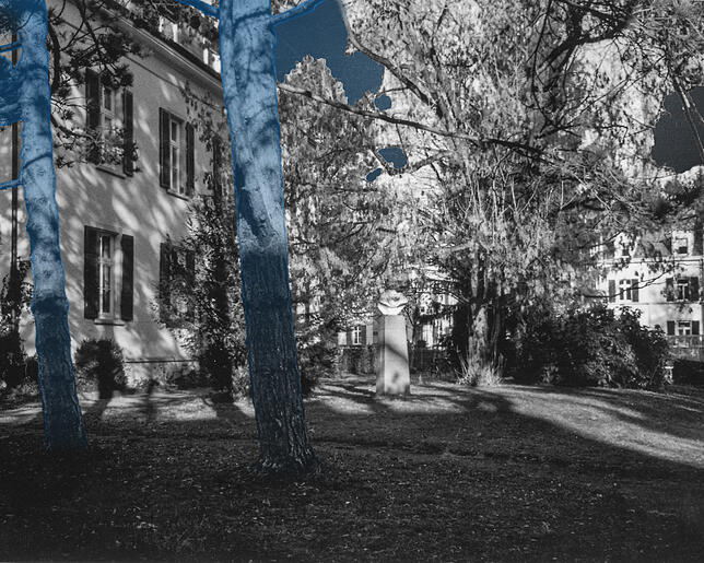 Auf der Höhe der Bäume wurde Georg Elser von der Zollstreife verhaftet.