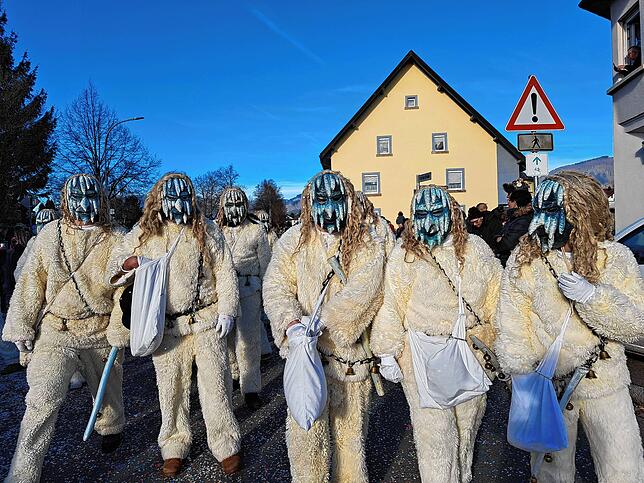 Bild 22: Umzug in Wehr - die schönsten Bilder (1)