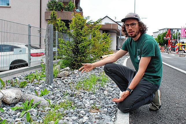 Tim Schoch vor einem Schottergarten in Kreuzlingen.